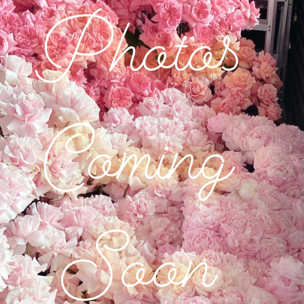 Club Monaco 100% cashmere sweater